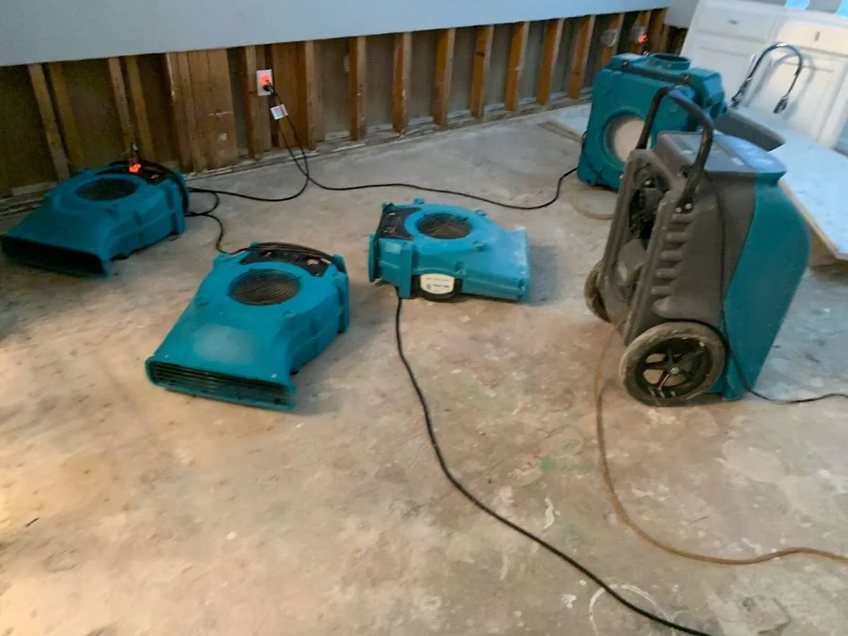 Water Damage Restoration services in Howland Center, OH